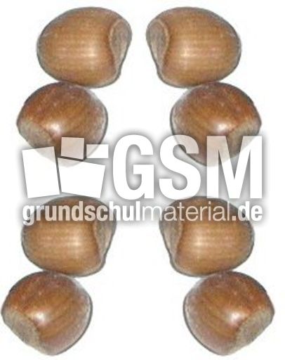 Haselnüsse-4x2.jpg
